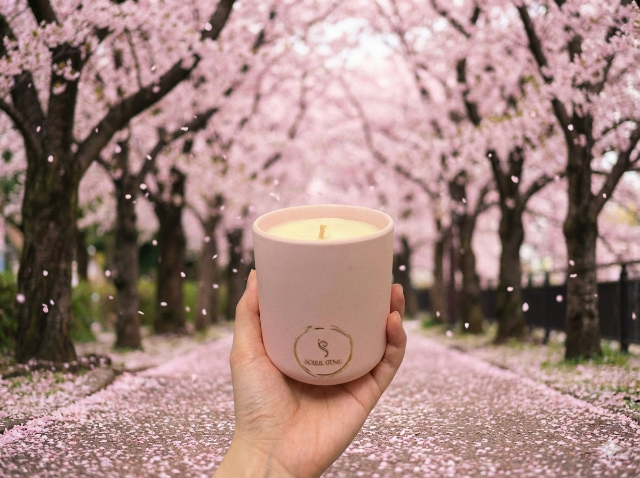 Sakura
